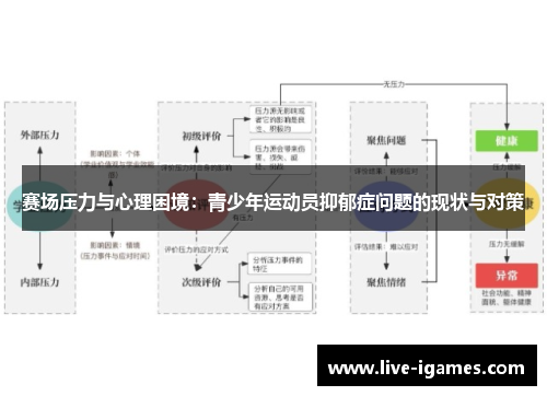 赛场压力与心理困境：青少年运动员抑郁症问题的现状与对策