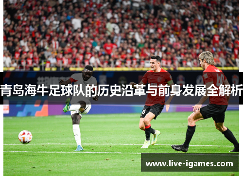 青岛海牛足球队的历史沿革与前身发展全解析